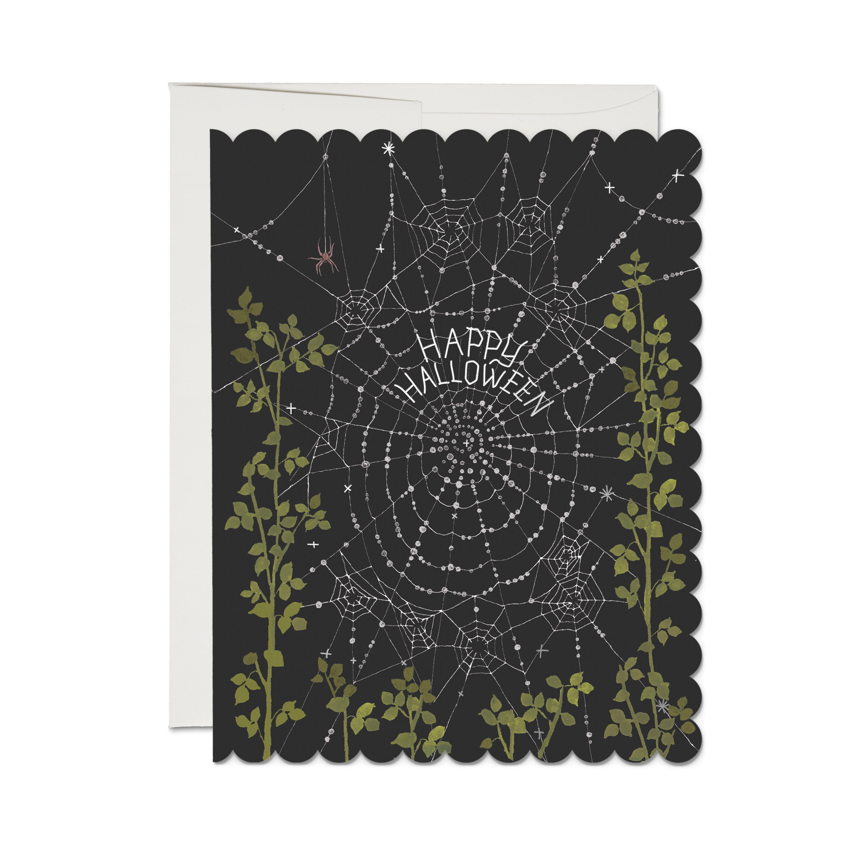 Delicate Spider Web greeting card Single