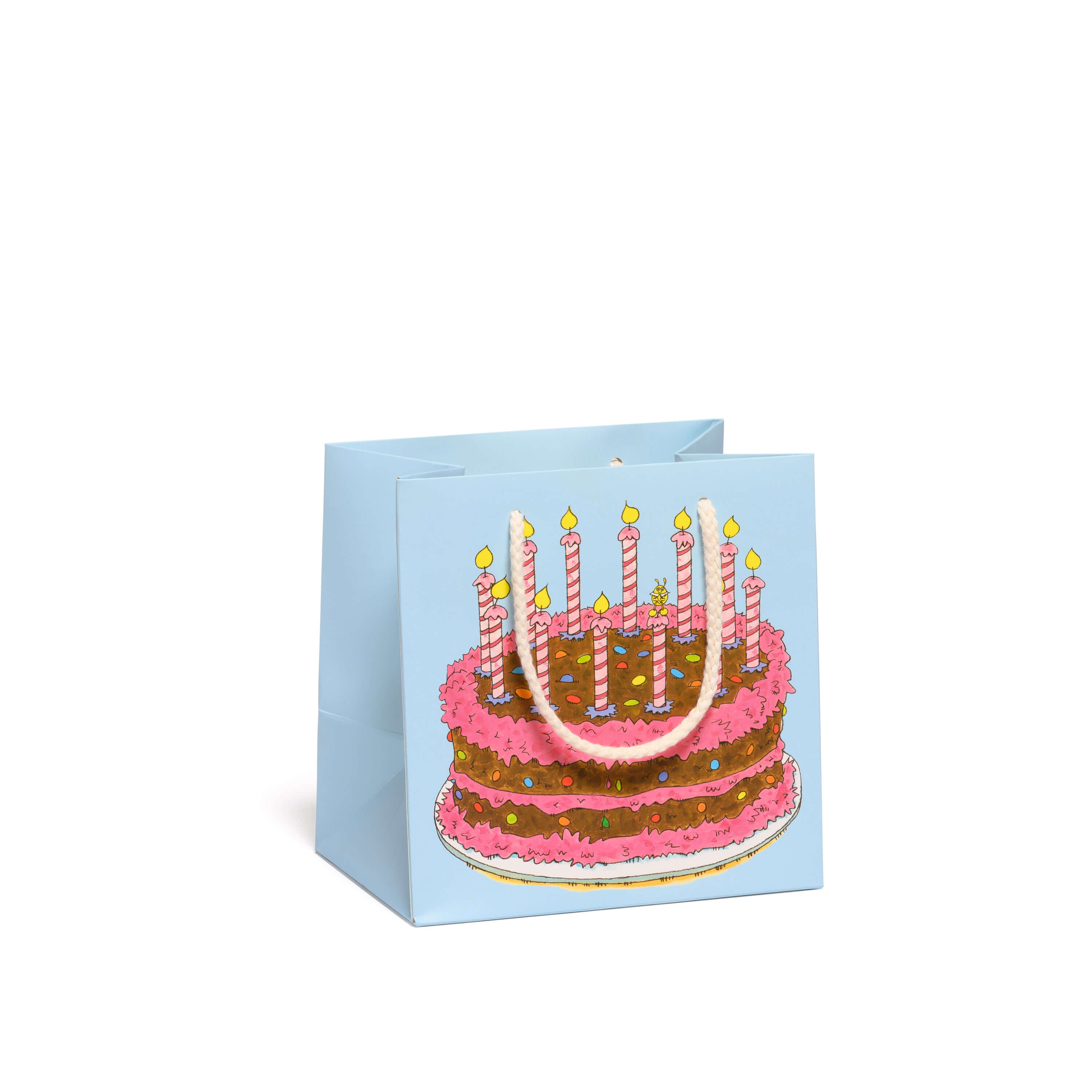 Dolly Pig Birthday gift bags